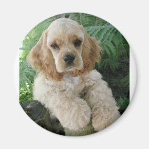 American Cocker Spaniel Dog And The Green Fern Magnet