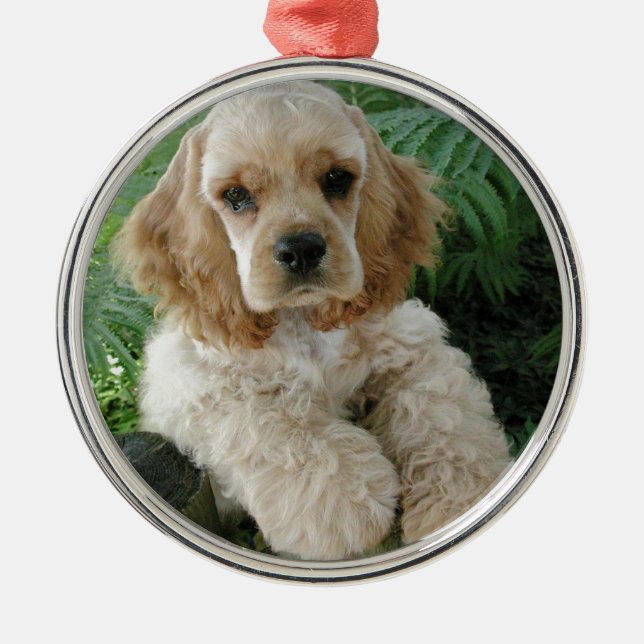 American Cocker Spaniel Dog And The Green Fern Metal Ornament (Front)