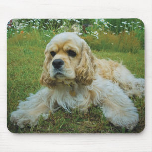 American Cocker Spaniel Dog Mouse Pad