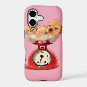 American cocker spaniel in retro kitchen scale