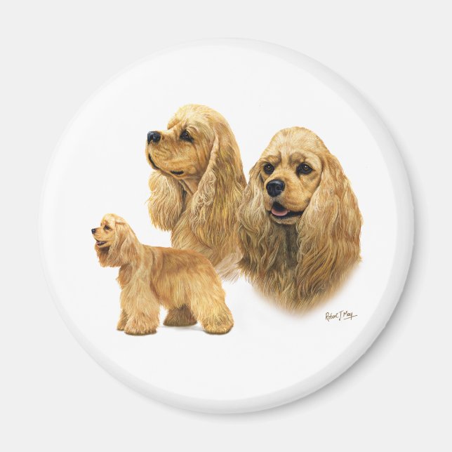 American Cocker Spaniel Magnet (Front)