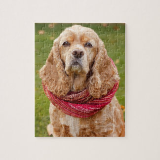 American Cocker Spaniel Outdoors On Autumn Day Jigsaw Puzzle