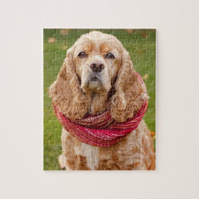 American Cocker Spaniel Outdoors On Autumn Day Jigsaw Puzzle (Vertical)