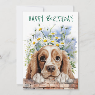 American Cocker Spaniel Peeking Holiday Card