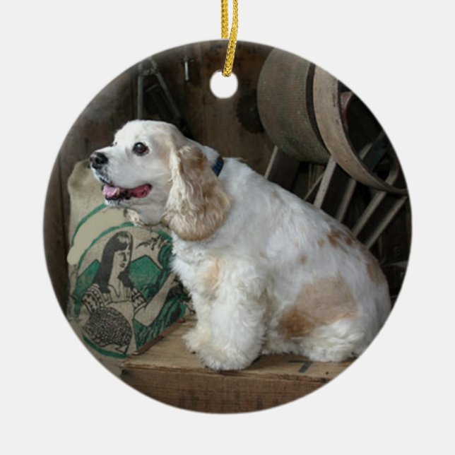 american cocker spaniel sitting ceramic ornament (Front)