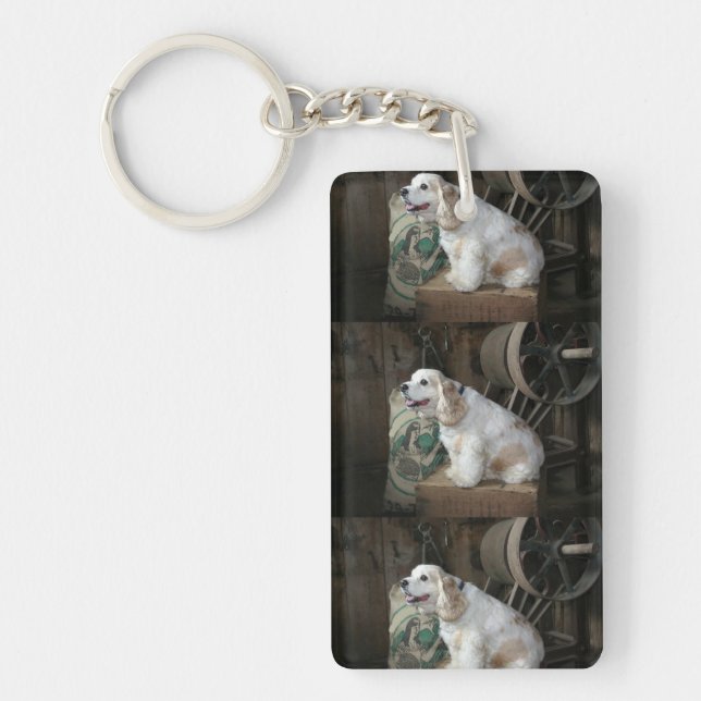 american cocker spaniel sitting keychain (Front)