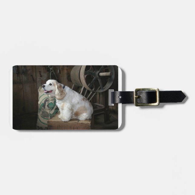 american cocker spaniel sitting luggage tag (Front Horizontal)