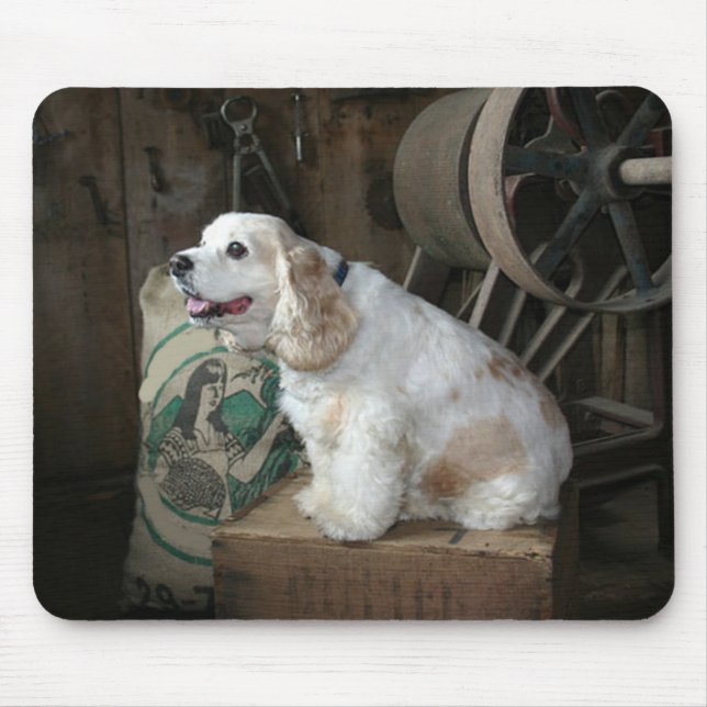 american cocker spaniel sitting mouse pad (Front)