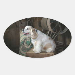 american cocker spaniel sitting oval sticker
