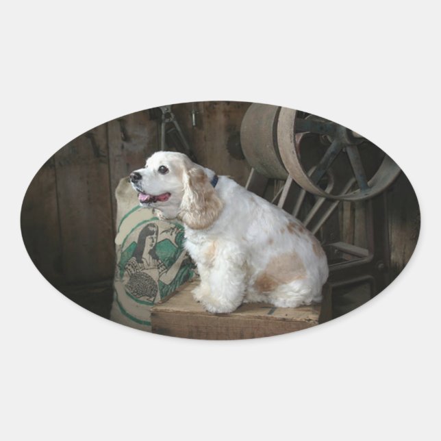 american cocker spaniel sitting oval sticker (Front)