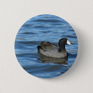 American Coot 2 Inch Round Button