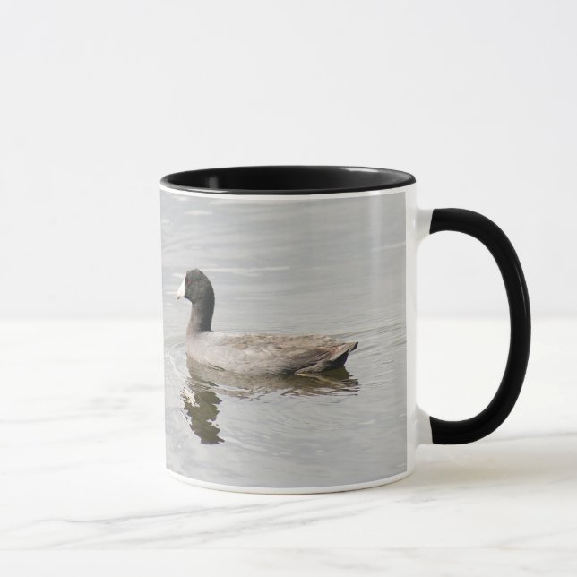 American Coot Mug (Droite)