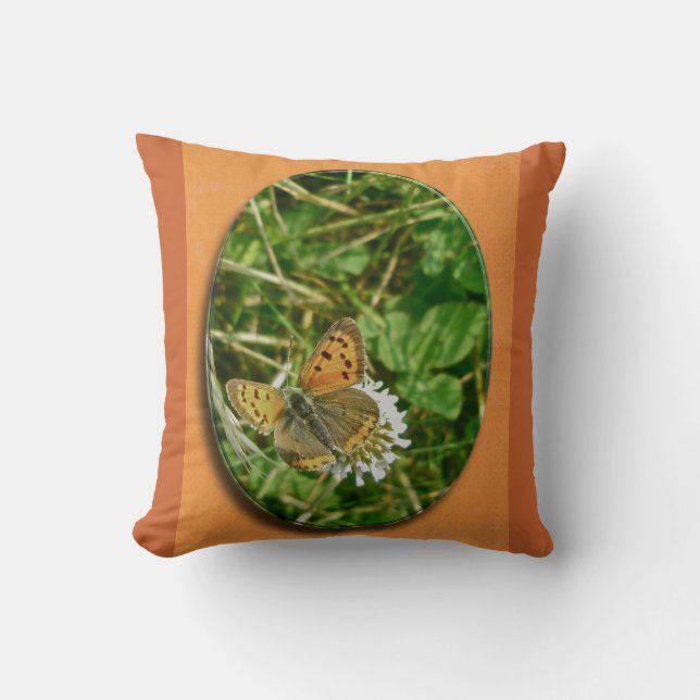 American Copper Butterfly Throw Pillow (Front)
