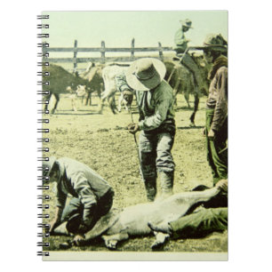 American cowboys branding a calf, c.1900 (photo) notebook