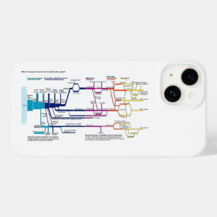 American Criminal Justice System Process Flowchart Case-Mate iPhone 14 Case