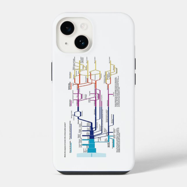 American Criminal Justice System Process Flowchart iPhone Case (Back)