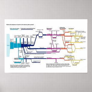 American Criminal Justice System Process Flowchart Poster