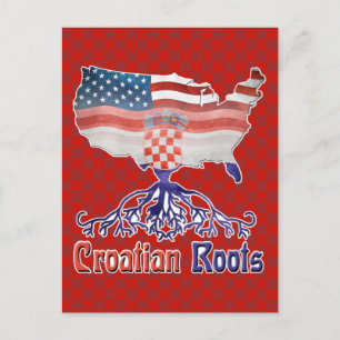 American Croatian Roots Postcard