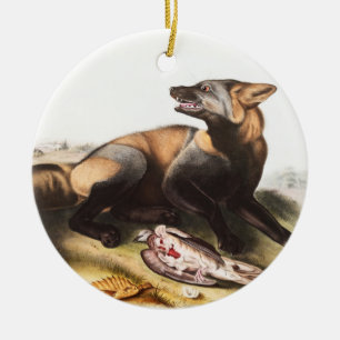 American Cross Fox (Canis vulpes) Illustration Ceramic Ornament