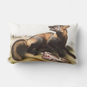 American Cross Fox (Canis vulpes) Illustration Lumbar Pillow