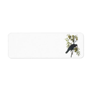 American Crow by Audubon