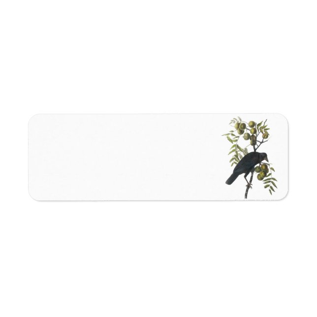 American Crow by Audubon (Front)