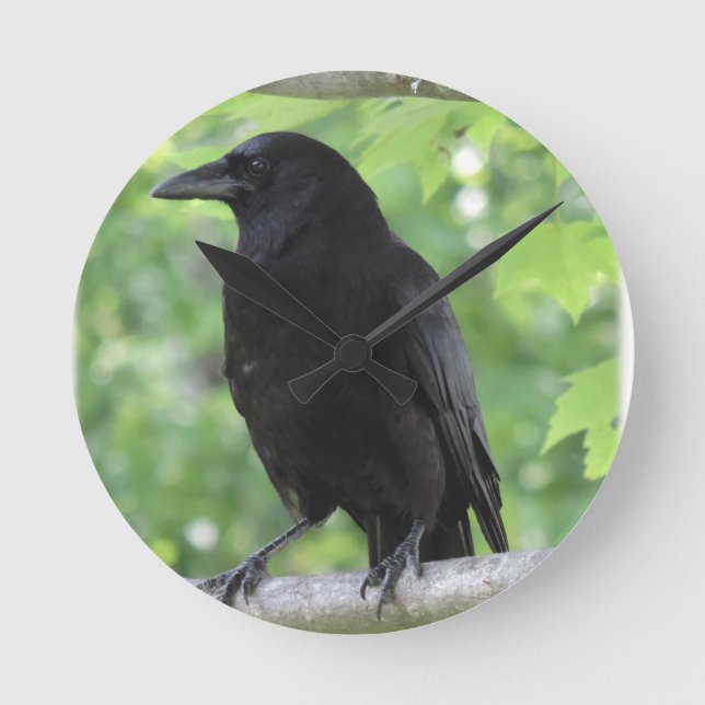 American Crow Clock (Front)
