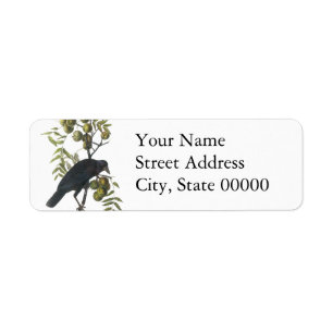 American Crow, John James Audubon