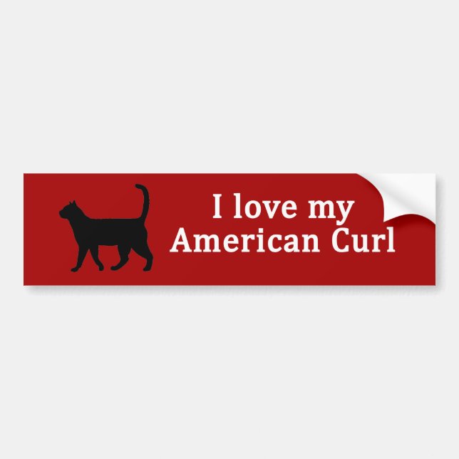 American Curl Love Bumper Sticker (Front)