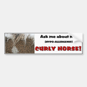 American Curly Horse Bumper Sticker