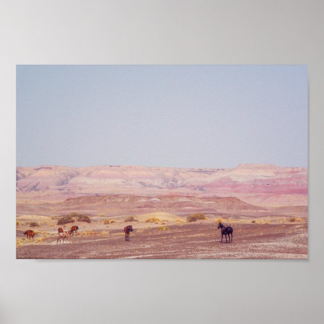 American Desert Horses P8670 Poster (Front)