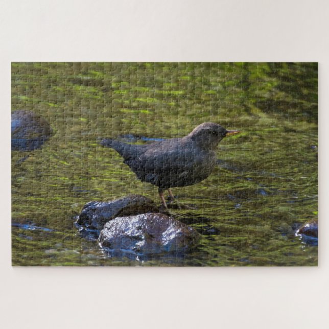 American Dipper Jigsaw Puzzle (Horizontal)