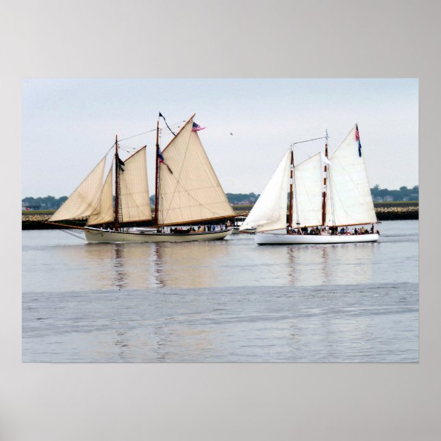 American Eagle and Adirondack III Poster (Front)