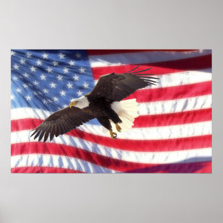 American Eagle and Flag Poster