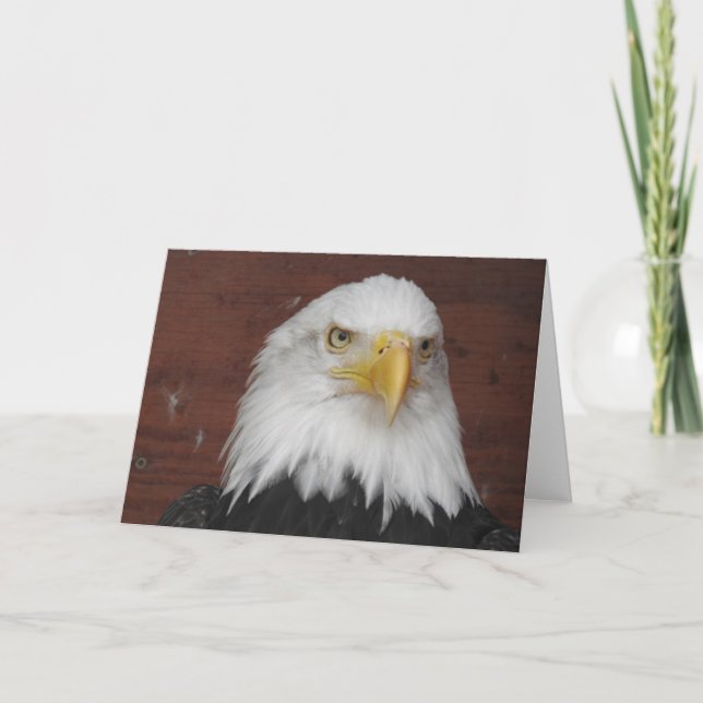 American Eagle Blank Card (Front)