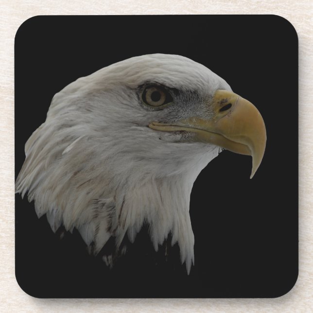 American Eagle Leadership Motivational Coaster (Front)
