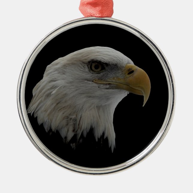 American Eagle Leadership Motivational Metal Ornament (Front)