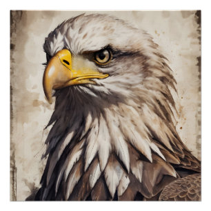 American Eagle no 5 Glossy Poster