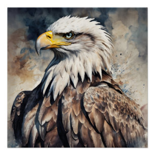 American Eagle no 6 Glossy Poster