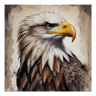 American Eagle no 7 Poster brillant
