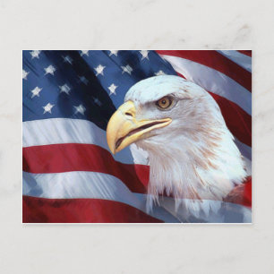 American Eagle Postcard