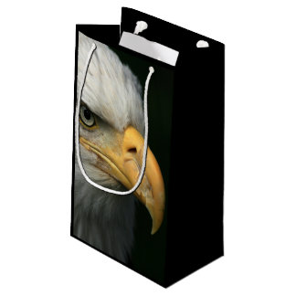 American Eagle Small Gift Bag