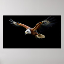 🦅 American Eagle Strike - Majestic Power