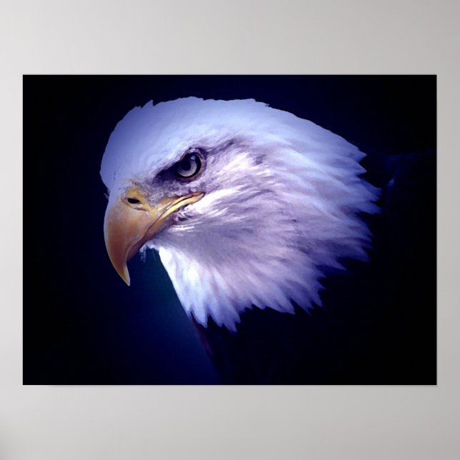 American Eagles - Bald Eagle Posters Prints (Front)