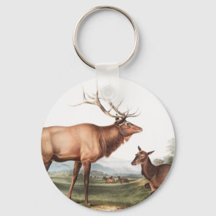 American Elk (Cervus Canadensis) Illustration Keychain