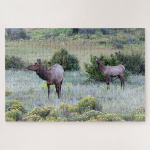 American Elk   Colorado Jigsaw Puzzle