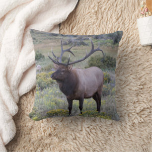 American Elk   Rocky National Park, Colorado Throw Pillow