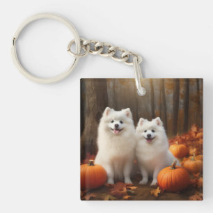 American Eskimo Chiot Automne Citrouille délice