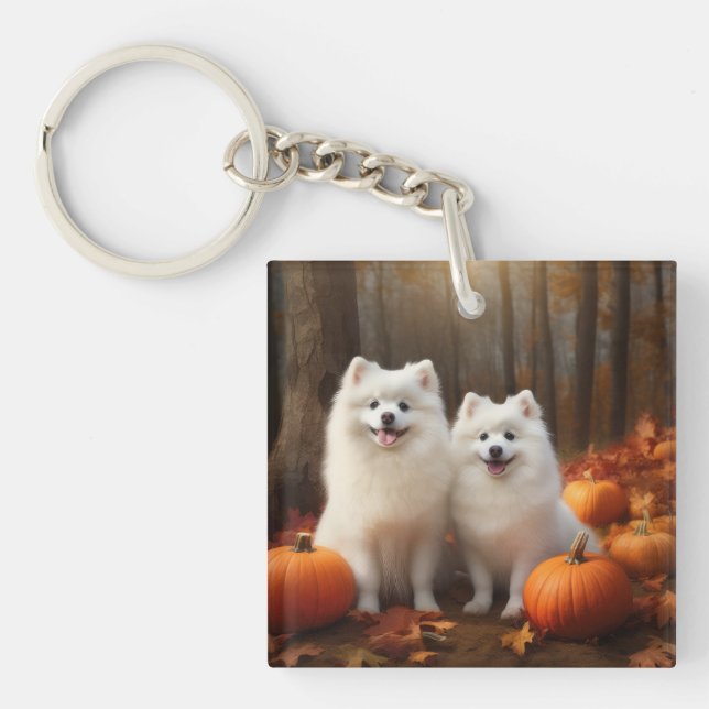 American Eskimo Chiot Automne Citrouille délice (Devant)