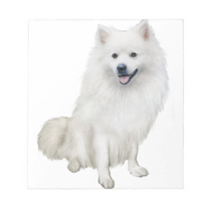 American Eskimo Dog (A) Notepad